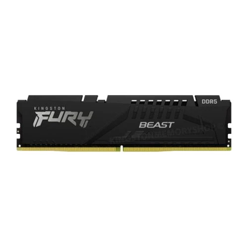 8G DDR5 5600 Kingston Beast