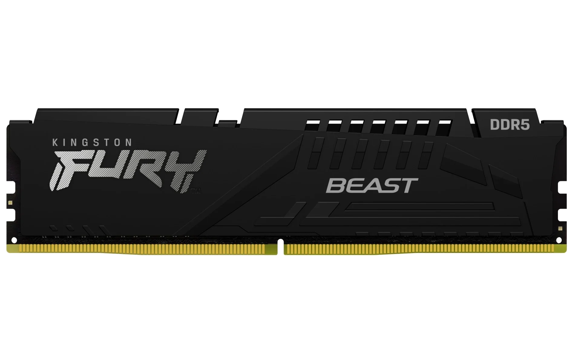 32G DDR5 6000 King Expo