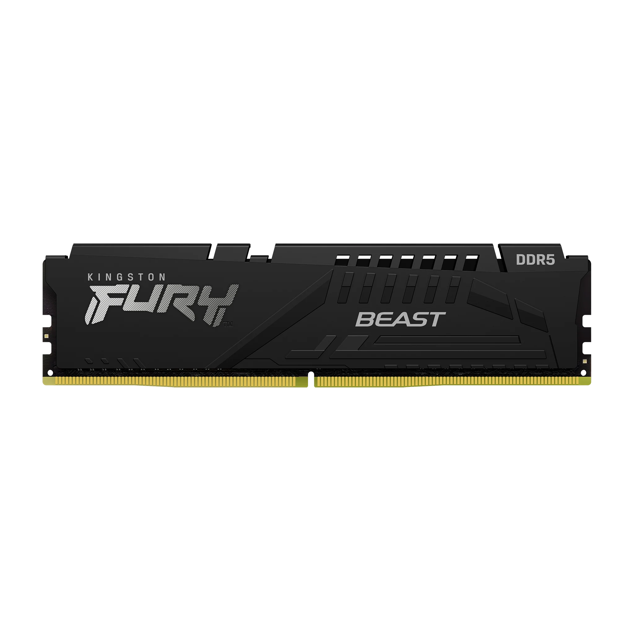 16G DDR5 6800 King Expo BK BEA